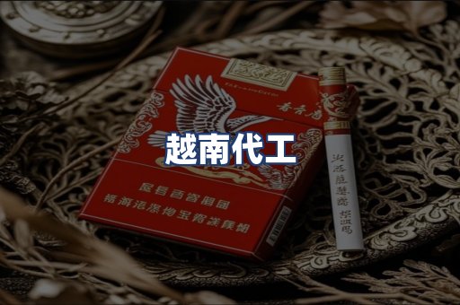 越南代工